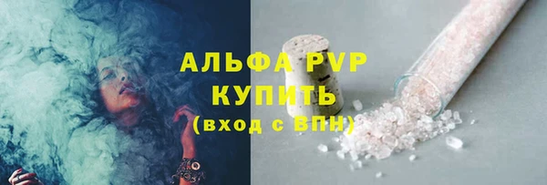 PSILOCYBIN Переславль-Залесский