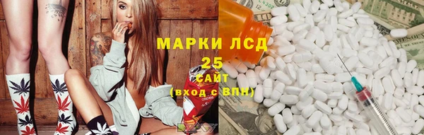 jwh Пересвет