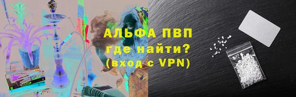 PSILOCYBIN Переславль-Залесский