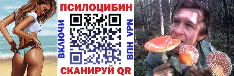 дарнет шоп  Ковдор  Галлюциногенные грибы мицелий 